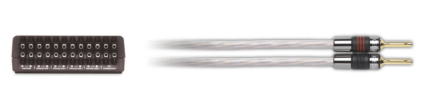 QED5